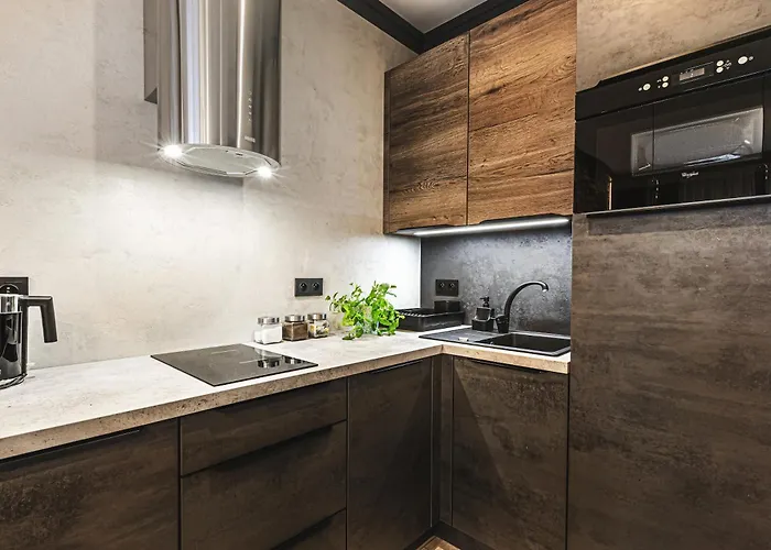 Luksusowy Ze Appartement Wrocław